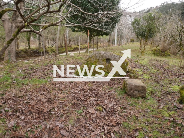 Image shows the wine press remains before the excavations, undated photo. A Polish-Georgian research team discovered a 1,800-year-old roman winepress in the Gonio settlement, in Georgia. Note: Licensed content. (R. Karasiewicz-Szczypiorski/Newsflash)