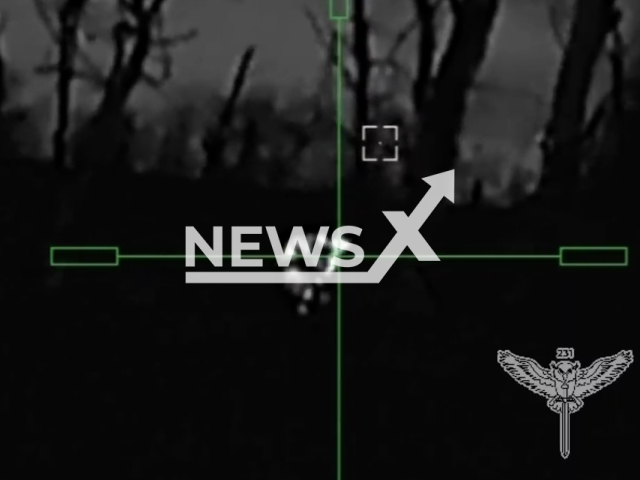 Sniper of the 231st separate battalion of Ukrainian Territorial Defense Forces aims at Russian invaders among trees in Ukraine. The footage was obtained from the East Regional Directorate of Ukrainian Territorial Defense Forces on Thursday, Nov. 24, 2022.Note: Picture is screenshot from a video (@troskhidzsu/Newsflash).