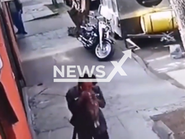 A homeless man eating a dead cat in Mexico City, Mexico, on 7th March. Note: Picture is a screenshot from a video (Newsflash)