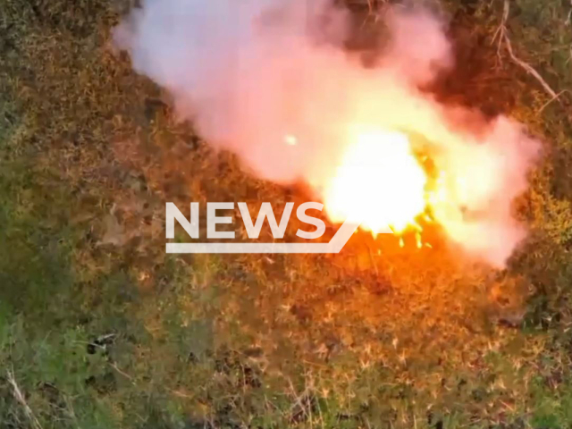 Picture shows an explosion among trees in Ukraine. The footage was obtained from the Zaporizhzhia separate Territorial Defense brigade on Tuesday, Nov. 29, 2022. Note: Picture is screenshot from a video (@110tro/Newsflash).