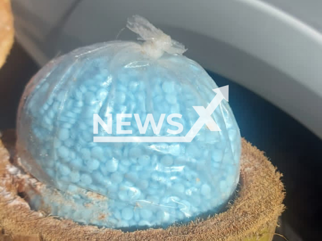 Picture shows coconuts  with fentanyl pills hidden inside, undated. The Attorney General's Office (FGR) seized approximately 300 kilogrames of fentanyl pills inside a truck, in Sonora , Mexico, as reported by the authorities on Thursday, Nov. 1, 2022.
Note: Licensed photo.  (FGR/Newsflash)