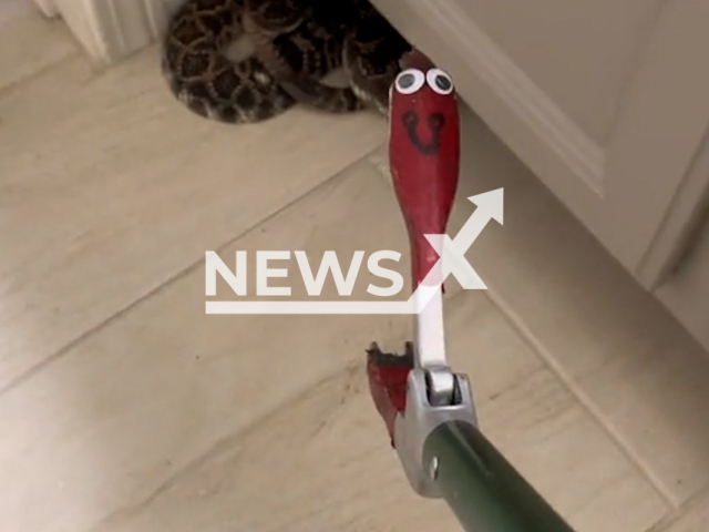 Picture shows a rattlesnake inside a bathroom in Carlsbad, California, in undated footage. Bruce Ireland removed the snake. Note: Picture is screenshot from a video (@sdsnakeadventures2/Newsflash).