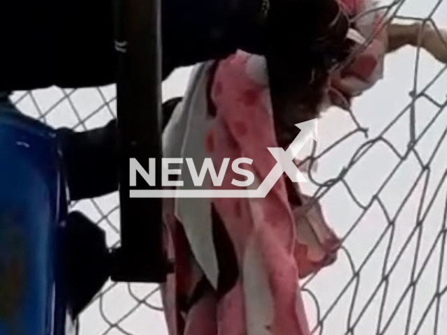 Police officers cut a trapped owl  by crane in Cordoba, Spain, on Monday, Dec. 5, 2022. It was trapped in a perimeter net soccer field.    Note: Picture is a screenshot from a video (@PoliciaRute/Newsflash)