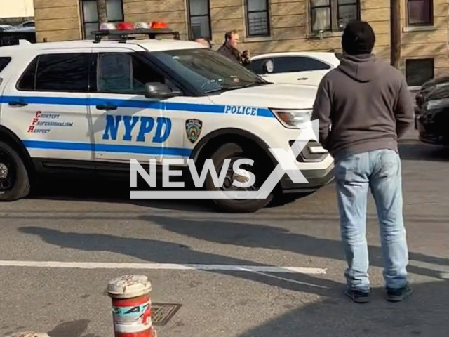 Police officers swarming escaping suspect in New York, USA. Note: This picture is a screenshot from the video (@jeremyvrs/Newsflash).