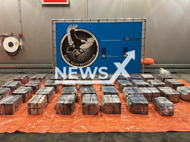 Picture shows the  cocaine seized,  undated. Customs found a total of 1279 kilogrames of cocaine in two containers of bananas with  from Ecuador in Vlissingen, Netherlands. Note: Licensed photo.  (Openbaar Ministerie/Newsflash)