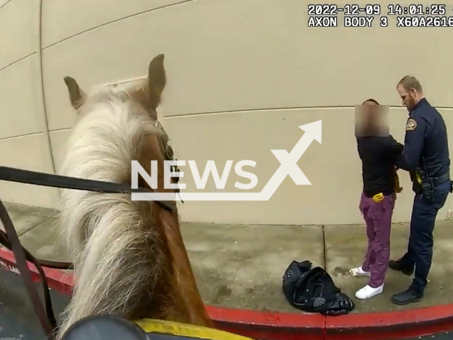 Police officer arresting the suspect who allegedly stole piles of clothing from a shop in  Folsom, California, USA on Friday, Dec. 9, 2022. The two arrested suspects were booked into the Sacramento County jail on charges of Grand Theft, Organized Retail Theft, and Conspiracy to Commit a Crime. Note: Picture is a screenshot from a video. (Folsom Police Department/Newsflash)