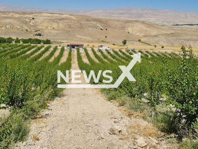 Image shows the plantation in the Eastern Anatolia Region, Turkey, which Kursat Yildirim, aged 42, bought, undated photo. The 42-year-old man from the city of Dortmund, in North Rhine-Westphalia, Germany reportedly planted almonds on the plantation. Note: Private photo. (Newsflash)