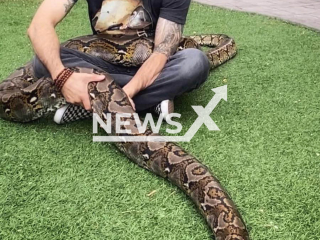 Keary Molinaro, a snake breeder, poses with a snake in an undated photo. Keary usually keeps between 60 and 100 snakes. Note: We obtained permission for this photo (Keary Molinaro; @molinaro_snake_lab/Newsflash)