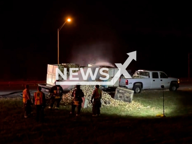 Firefighters put out a flaming vehicle loaded with onions which caught fire on the road in Ocala, Florida, USA, on Saturday, Dec. 17. Over 6,000 pounds of onions that the vehicle was transporting were affected in the fire. Note: Picture is screenshot from a video (Ocala Fire Rescue/Newsflash).