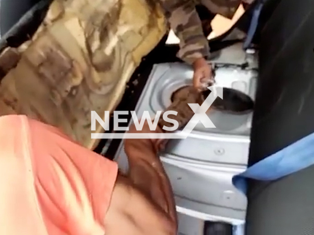 A 1.8-metre boa constrictor was found, inside a fuel tank of a car in Planaltina, Brazil, on 12th March. Note: This picture is a screenshot from the video (BPMA/Newsflash).