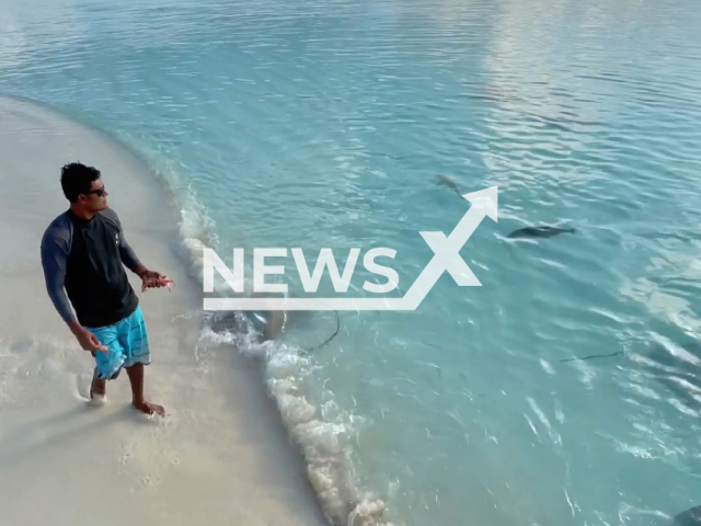 Mohamad Muaz's friend, Muja, walks on a beach, preparing to feed stingrays, at the Southern Nilandhe Atoll, Maldives, on Friday, April 15, 2022. According to Mohamad, stingrays generally aren’t dangerous, and they have a reputation for being gentle. Note: Picture is a screenshot from a video (@_._muitzz_._/Newsflash)