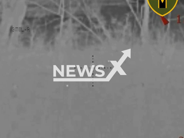 Ukrainian sniper shoots at Russian soldier hiding among trees in Bakhmut, Donetsk region, Ukraine. The footage was obtained from the 28th Mechanized Brigade of the Ukrainian Ground Forces on Tuesday, Dec. 27, 2022. Note: Picture is screenshot from a video. (@28brigade/Newsflash)