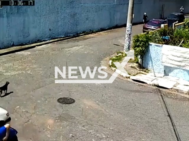 A man threatens a  Porsche driver  with a gun, during attempted robbery, in Sao Paulo, Brazil, on Friday, Dec. 23, 2022. 
The armoured car was shot five times but  the driver  managed to reverse and flee.
Note: Picture is screenshot from a video. (Newsflash)