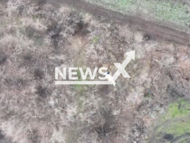 Bomb falls on Russian soldiers hiding at their positions in foxholes in Bakhmut, Donetsk region, Ukraine. The footage was obtained from the 30th separate mechanized brigade of the Ukrainian Ground Forces on Tuesday, Dec. 27, 2022. Note: Picture is a screenshot from a video (@30brigade/Newsflash)