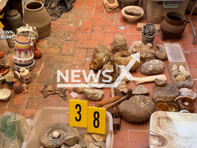 Picture shows some of the items seized by police during Osarium operation, undated. Police seized 350 archaeological pieces and almost 200 bone remains from two men charged with misappropriation  of goods of historical, cultural or scientific value in Gata de Gorgos, Spain.
Note: Police photo. (Newsflash)