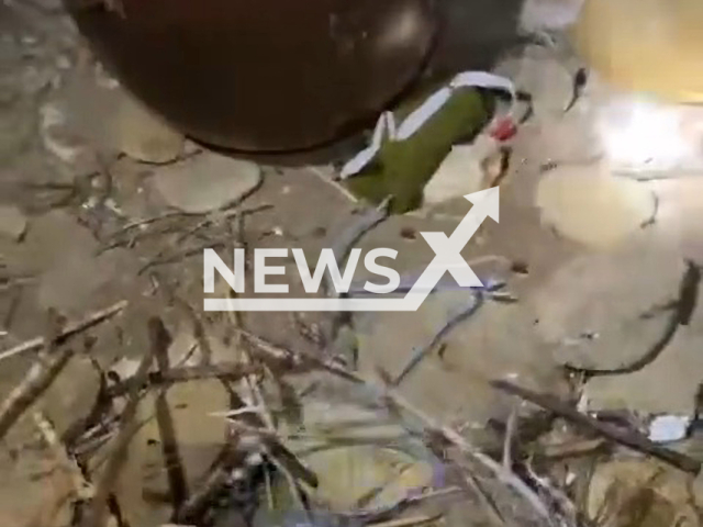 Picture shows an anti-ship mine on the sea coast of Odesa, Ukraine in undated footage. The footage was obtained from the Ukrainian Navy on Sunday, Jan. 1, 2023. Note: Picture is a screenshot from a video (@navy.mil.gov.ua/Newsflash)