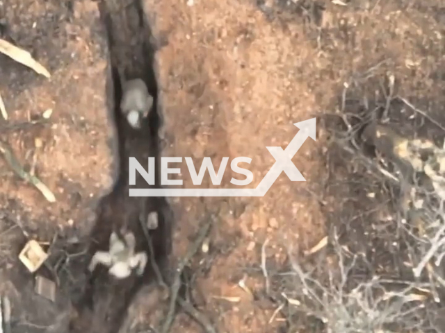 Russian soldiers run from the explosion in trench in Bakhmut, Donetsk region, Ukraine in undated footage. The footage was obtained from the 30th brigade of the Ukrainian Ground Forces on Thursday, Jan. 5, 2023. Note: Picture is a screenshot from a video (@30brigade/Newsflash)