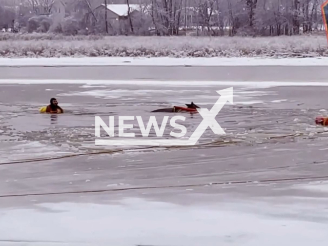 Fire fighters rescuing a deer, in Bellevue Wisconsin, USA, undated. It fell through the ice of a frozen river and was stuck.  
Note: Picture is screenshot from a video (@DixonILpolice/Newsflash).