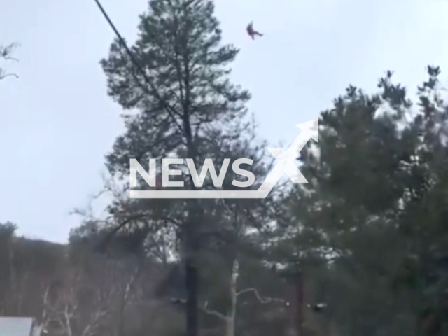 This picture shows the U.S. Coast Guard's response to rescue two people and a dog from flooding near Arroyo Deco, California, undated. Note: This picture is a screenshot from the video. (U.S. Coast Guard Pacific Southwest/Newsflash)