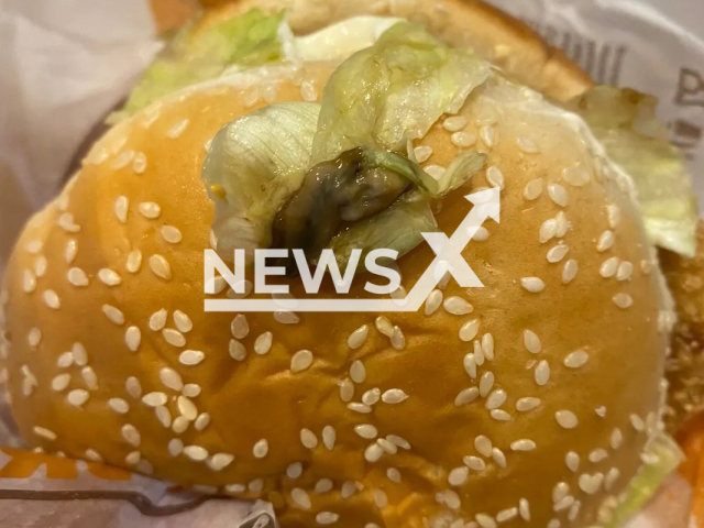 Photo shows a slug on the salad of a burger a man claims to have bought from Burger King in Belo Horizonte, Brazil, undated. The young man named Walif de Souza reportedly found the slug inside the burger on Tuesday, Jan. 3, 2023. Note: Picture is private (Walif Silva/Newsflash)