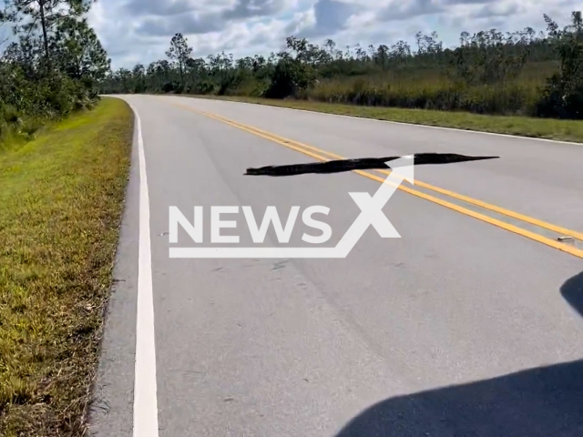 A 15+ foot Burmese Python crosses the road in Everglades National Park, in Florida, US, on Monday, Jan. 2, 2023. Kym Clark, who recorded the video, stated she was surprised to see the social media reaction to her reel. Note: Picture is a screenshot from a video. (@kym_clark/Newsflash)