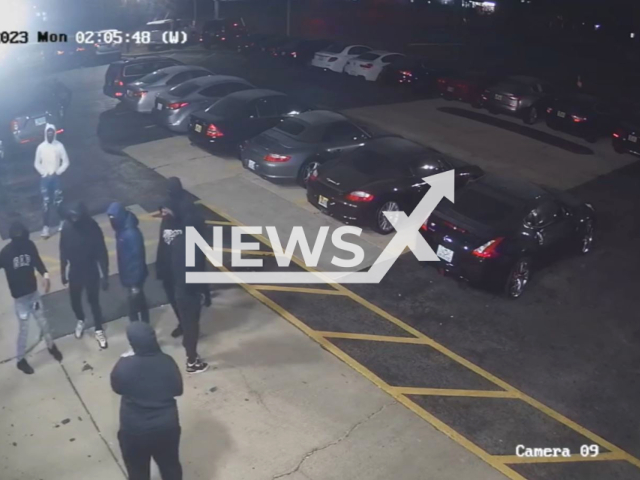 The picture shows a gang of thieves stealing six luxury cars from a local dealership in Cook County, Illinois, USA on Monday, Jan.9, 2023. The investigation is currently ongoing. Note: Picture is screenshot from a video.(Cook County Sheriff's Office/Newsflash)