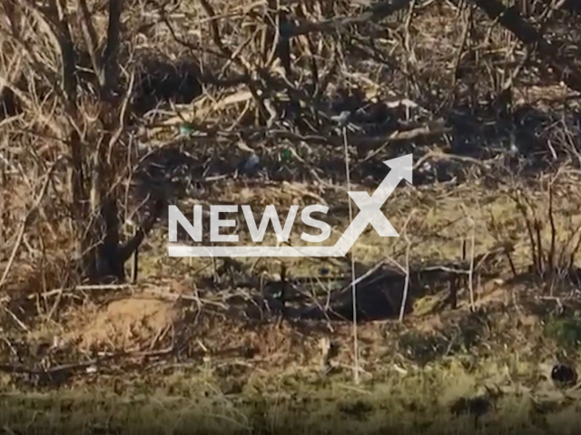 Ukrainian drone steals Russian military walkie-talkie from their positions near trenches in Ukraine in undated footage. The footage was released by the K2 combat group of the 54th brigade on Monday, Jan. 16, 2023. Note: Picture is screenshot from a video. (@k_2_54/Newsflash)