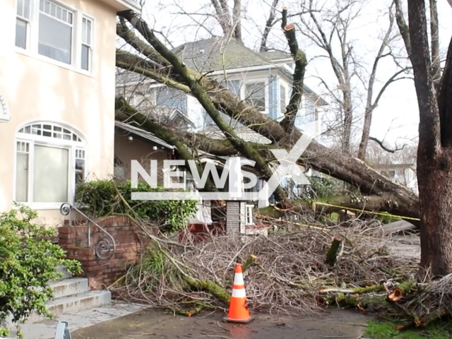 Description: Picture shows the intense damage that was caused by a storm, in Sacramento, California, on Monday, Jan. 9, 2023. The scene is from the downtown-midtown area of Sacramento. Notes: Picture is a screen from a video.(@CodyFJ/Newsflash)