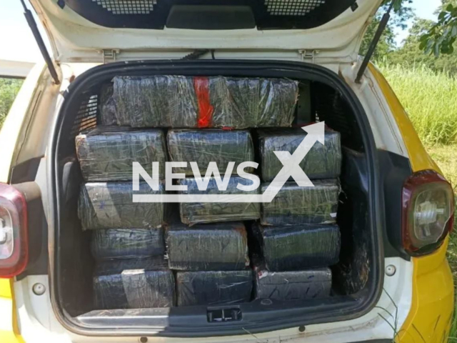 Picture shows the drugs found abandoned, undated. A 32-year-old woman carrying 710 kilogrammes of marijuana had her rented vehicle stolen and was arrested after calling the police  in Campo Mourao, Brazil, on Wednesday, Jan. 18, 2023.
Note: Police photo. (Policia Militar/Newsflash)