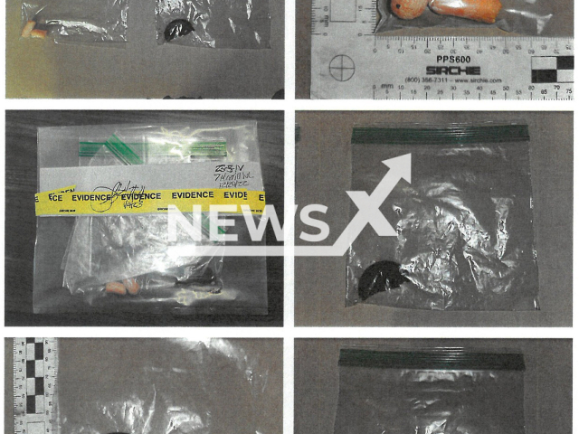 Picture shows  the evidence of cookie and carrot remains submitted to police, undated. The police received a letter requesting a DNA analysis be conducted on the partially eaten cookie and carrot remains a young investigator acquired on the morning of Dec. 25, 2022, for possible DNA evidence of Santa Claus, in Cumberland, Rhode Island, USA.
Note: Police photo. (@CumberlandRIPD/Newsflash)