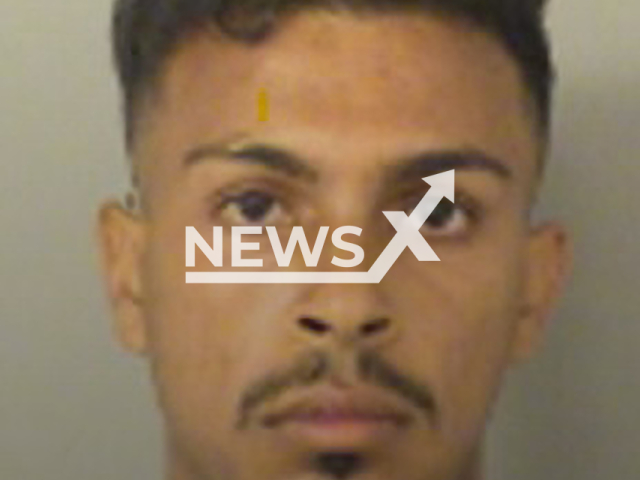 Giovani Radu, 22, poses in undated photo. He was accused of pretending to play the violin while aggressively soliciting donations in Royal Palm Beach, Florida, USA. Note: Police photo. (Palm Beach County Sheriff's Office/Newsflash)