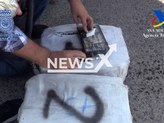 Police officer examines some of the drugs found, undated. Police seized a sailboat with 2,500 kilogrames of cocaine from the Caribbean bound for the Canary Islands, Spain, and arrested the crew. Note: Picture is screenshot from a video. (Newsflash)