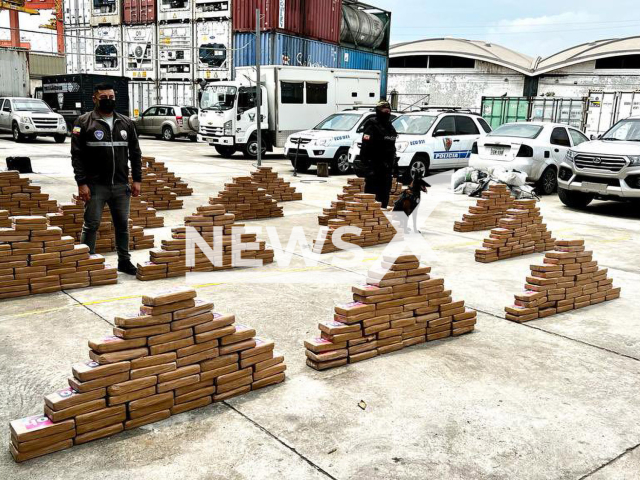 Photo shows packages of cocaine hidden in a container that intended to leave from one of the Guayaquil seaports in Ecuador to Great Britain, undated. The cocaine packages were hidden in a container that transported tuna cans. Note: Photo is from the Interior Minister (@CapiZapataEC/Newsflash)