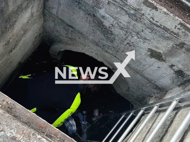 Picture shows a police officer examining the storm drain pipe, undated. Police removed Lyndsey Jane Kennedy, from a storm drain pipe in Delray Beach, Florida, USA, on Wednesday, Jan. 18, 2023. Note: Picture is screenshot from a video. (@DelrayBeachPolice/Newsflash)