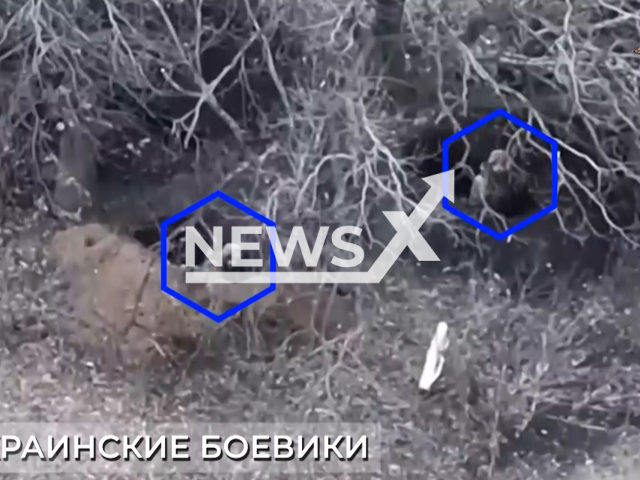 Picture shows Ukrainian soldiers in the trench in Ukraine in undated footage. The footage released by the People's Militia of the DPR on Thursday, Jan. 26, 2023.
Note: Picture is screenshot from video. (@nm_dnr/Newsflash)