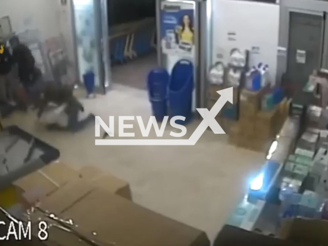 Cops arrest crooks during a robbery in Palermo, Italy, in undated footage. Two out of four robbers were arrested by the police. Note: Picture is screenshot from a video.  (@poliziadistato.it/Newsflash)