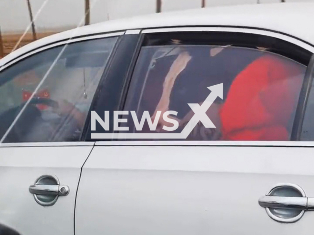 Cow travels in the back seat of a car in Yinchuan, China. Note: Picture is a screenshot from a video (RBT1992888888/AsiaWire)