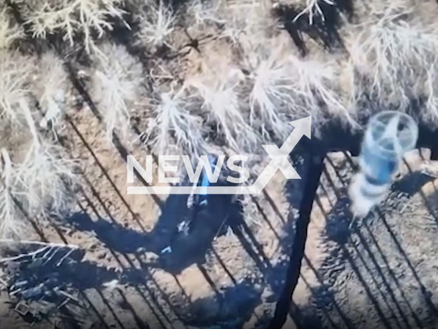 Bomb falls on Russian soldiers running to their trenches in Ukraine in undated footage. The footage was released by the East Regional Directorate of the Ukrainian Territorial Defense Forces on Monday, Jan. 30, 2022. Note: Picture is a screenshot from a video (@troskhidzsu/Newsflash)