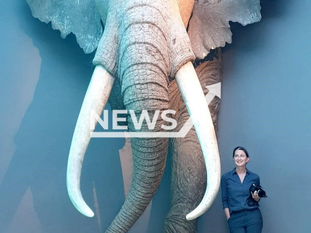 Professor Sabine Gaudzinski-Windheuser, poses in undated photo. She was standing next to a life-size reconstruction of an adult male European straight-tusked elephant (Palaeoloxodon antiquus) in the State Museum of Prehistory in Halle, Germany. Note: Licensed content. (Lutz Kindler, LEIZA/Newsflash)