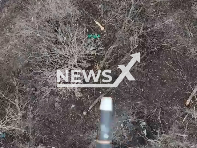 Bomb falls on two Russian soldiers hiding among trees near Bakhmut, Donetsk region, Ukraine in undated footage. The footage was released by the 30th brigade of the Ukrainian Ground Forces on Sunday, Feb. 5, 2022.Note: Picture is screenshot from a video. (@30brigade/Newsflash)