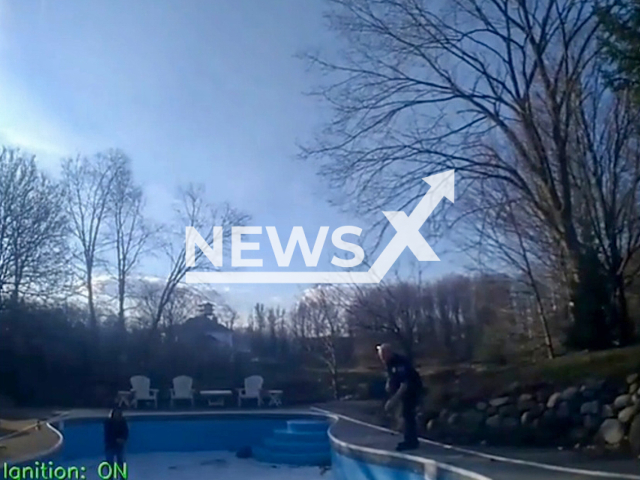 Officers rescue a deer trapped in a pool on St. Patricks Day in South Bend, Indiana, USA. Note: Picture is a screenshot from a video (South Bend Police Department/Newsflash)