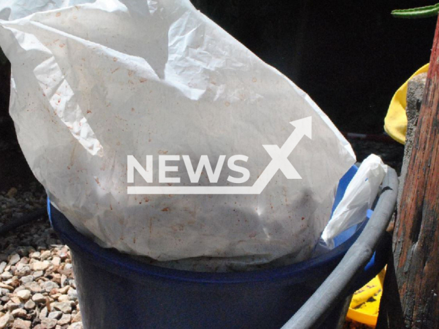 Picture shows the newborn baby girl  inside a garbage bag in a bucket, undated. 
 A 14-year-old girl allegedly killed her newborn baby with a knife after giving birth at home, in Porangatu, Brazil.
Note: Police photo. (Policia Militar/Newsflash)