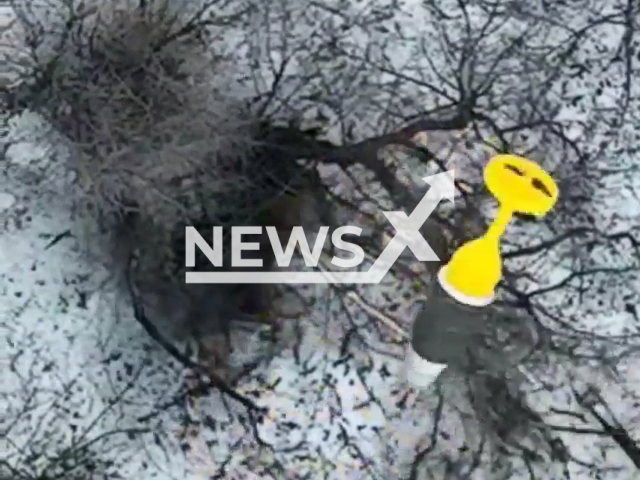 Ukrainian drone bomb falls on Russian soldiers among trees in the snow near Bakhmut, Donetsk region, Ukraine in undated footage. The footage was released by the 30th brigade of the Ukrainian Ground Forces on Friday, Feb. 10, 2022.Note: Picture is screenshot from a video. (@30brigade/Newsflash)