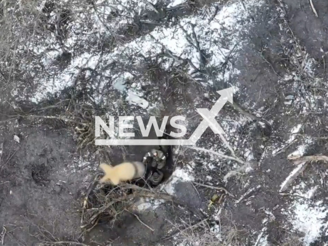 Ukrainian paratroopers destroy Russian military positions dropping bombs from drones in Ukraine in undated footage. The footage was released by the 35th separate marine infantry brigade on Monday, Feb. 13, 2023. Note: Picture is a screenshot from a video (@79AMBUA/Newsflash)