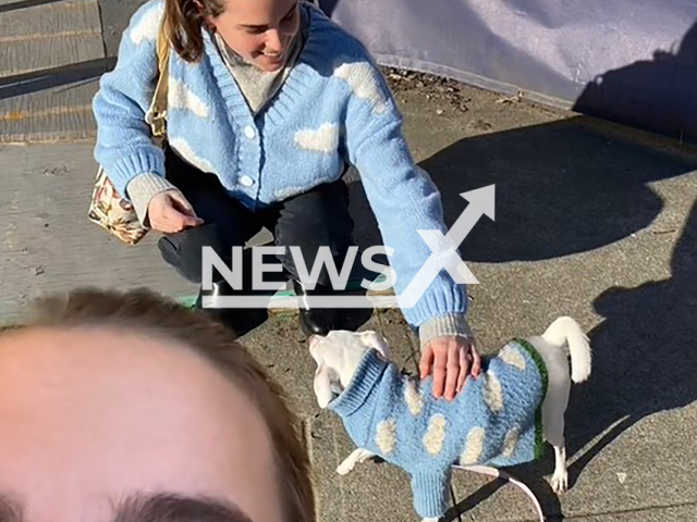 The artist and traveling muralist Carmen MacLeod bumped into a stranger's dog named Angel wearing an identical sweater as hers. Note: Photo is a screenshot from a video(@creativelycarmen.art/Newsflash).