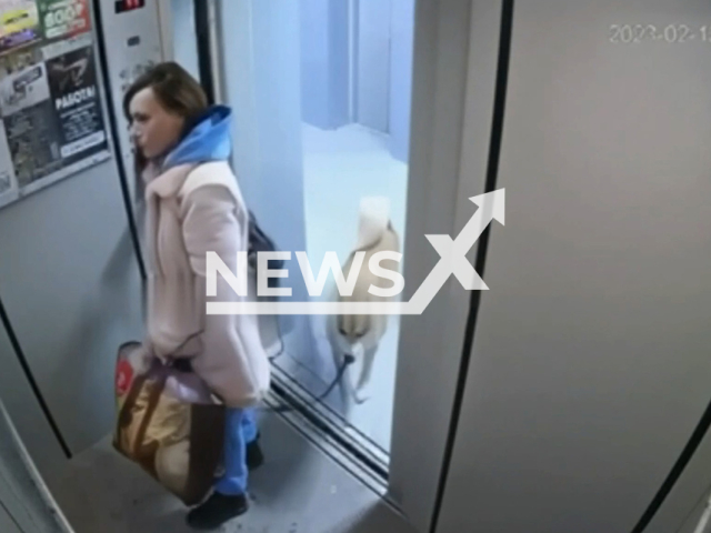 A woman tries to get rid of a dog leash that got stuck in the elevator in Kazan, Tatarstan, Russia, undated. The leash stuck to the elevator after the woman's dog did not follow her inside the elevator, and the elevator started moving. Note: Picture is a screenshot from a video (Newsflash)