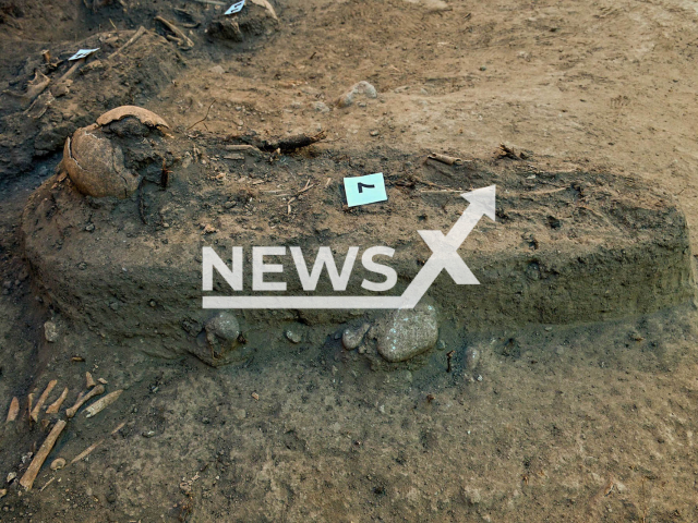 Picture shows some of the skeletons found, in Chapultepec, Mexico, undated. They found  located 21 skeletons, some with burials in accordance with the Catholic tradition and others still preserved the Mesoamerican rites.
Note: Licensed photo.  (INAH/Newsflash)