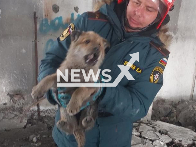 Rescuer holds a puppy in Yelizovo, Kamchatka Krai, Russia on Wednesday, Feb. 15, 2023. Rescuers saved a puppy stuck under concrete slabs. Note: Picture is obtained from the Main Directorate of the Ministry of Emergency Situations of Russia for the Kamchatka Krai. (@mchs_kamchatka/Newsflash)