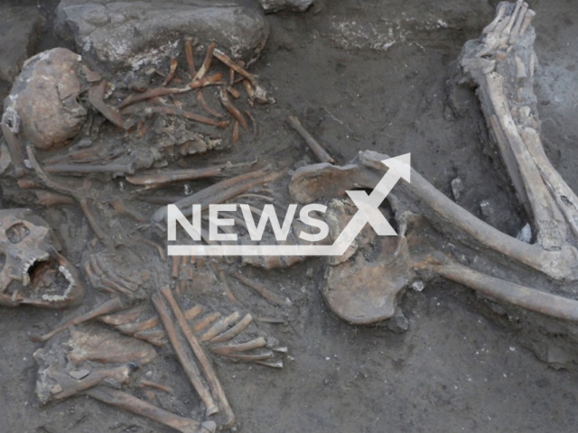 Photo shows two upper-class brothers  who were buried beneath a home in the ancient city of Megiddo, Israel, undated. One of the brothers found out to have undergone a brain surgery not long before he died. Note: Licensed photo (Rachel Kalisher/Newsflash)