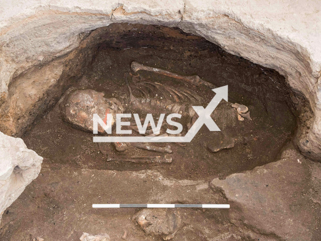 Skeleton of a male individual aged between 35 and 50 years old with cinnabar painting on the cranium at the Catalhoyuk Neolithic settlement in Turkey. Note: This photo is from a press release. (Marco Milella/Newsflash)